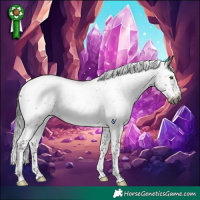 Horse Color:Gray Brown Roan Splash Rabicano 