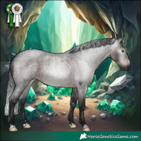 Horse Color:Gray Brown Roan Rabicano 