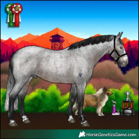 Horse Color:Gray Brown Roan Splash Rabicano 
