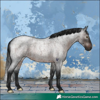 Horse Color:Gray Brown Roan Rabicano 