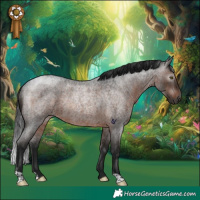 Horse Color:Gray Brown Roan Rabicano