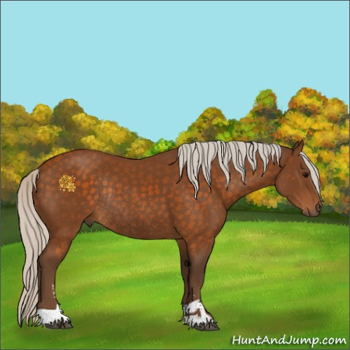 Horse Color:Silver Buckskin Sabino Rabicano 