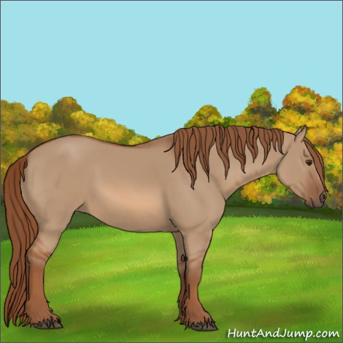 Horse Color:Red Dun 