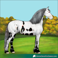 Horse Color:ERROR: UNKNOWN ANOMALY