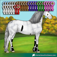 Horse Color:ERROR: UNKNOWN ANOMALY