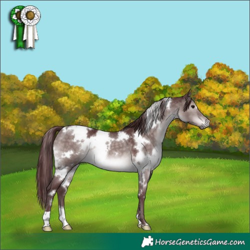 Horse Color:Platinum White Spotted Chocolate Brown Dun 