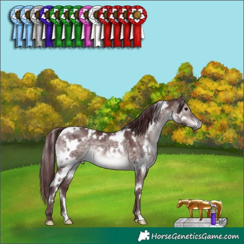 Horse Color:Platinum White Spotted Chocolate Brown Dun 