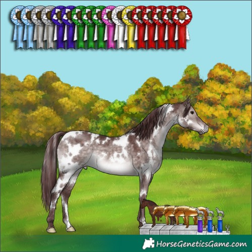 Horse Color:Platinum White Spotted Chocolate Brown Dun 