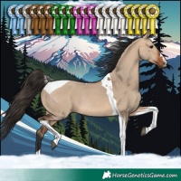 Horse Color:Bay Dun Tobiano Rabicano