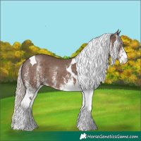 Horse Color:White Spotted Silver Black Tobiano 
