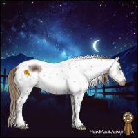 Horse Color:White Spotted Liver Chestnut Splash Tobiano Frame Rabicano