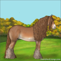 Horse Color:Chestnut Rabicano  and Chestnut Frame Rabicano 