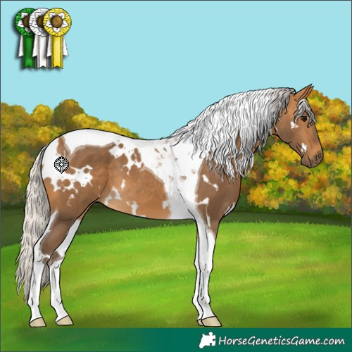 Horse Color:White Spotted Silver Buckskin Tobiano 