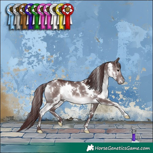 Horse Color:Platinum White Spotted Chocolate Brown Dun 