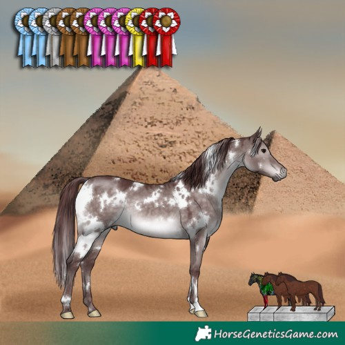 Horse Color:Platinum White Spotted Chocolate Brown Dun 