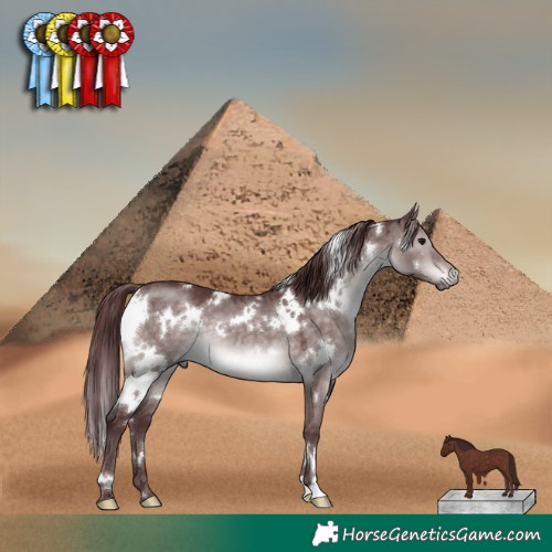 Horse Color:Platinum White Spotted Chocolate Brown Dun 