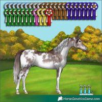 Horse Color:Platinum White Spotted Chocolate Brown Dun 