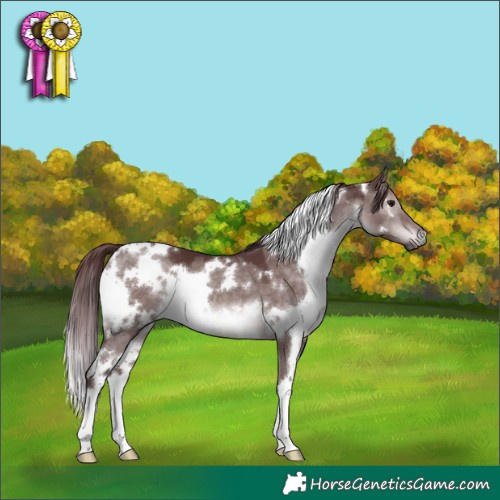 Horse Color:Platinum White Spotted Chocolate Brown Dun 