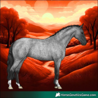 Horse Color:Blue Roan 