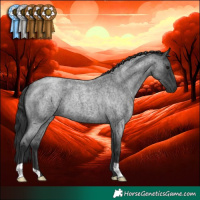 Horse Color:Blue Roan 