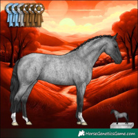 Horse Color:Blue Roan 