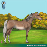 Horse Color:Silver Brown Dun Tobiano 