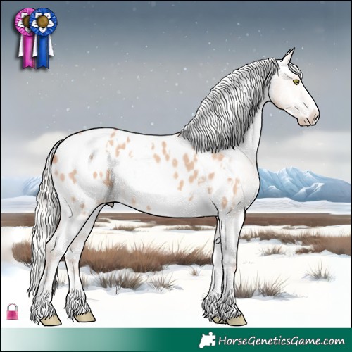 Horse Color:White Spotted Silver Sable Champagne Dun Appaloosa 