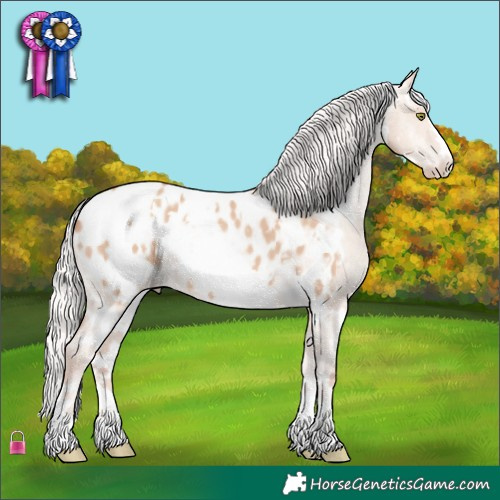 Horse Color:White Spotted Silver Sable Champagne Dun Appaloosa 