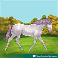 Horse Color:Watercolor White Spotted Buckskin Pearl Varnish 