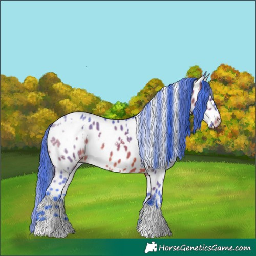 Horse Color:Watercolor White Spotted Bay Near Leopard