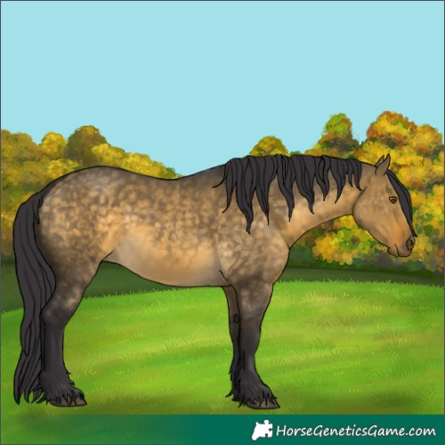 Horse Color:Buckskin Dun Mushroom 