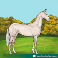Horse Color:Silver Sable Champagne Dun Blanket Brindle 