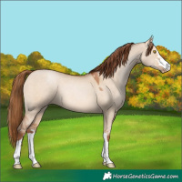 Horse Color:Brown Pearl Dun 