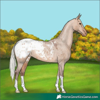 Horse Color:Silver Bay Dun Blanket 