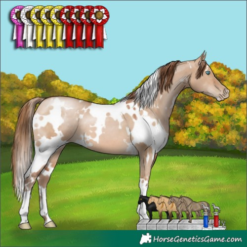 Horse Color:White Spotted Brown Pearl Dun