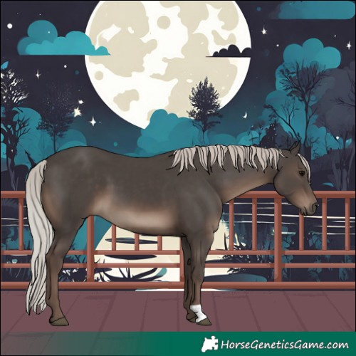 Horse Color:Silver Black 
