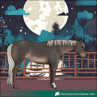 Horse Color:Silver Black 