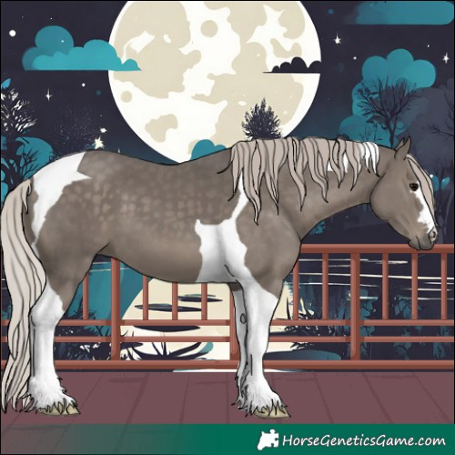 Horse Color:Silver Black Tobiano 