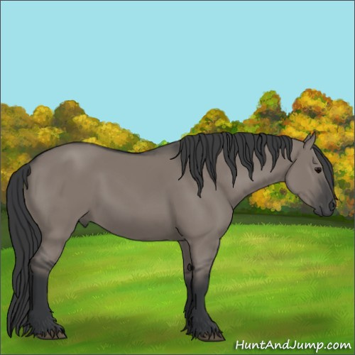 Horse Color:Grullo Rabicano 