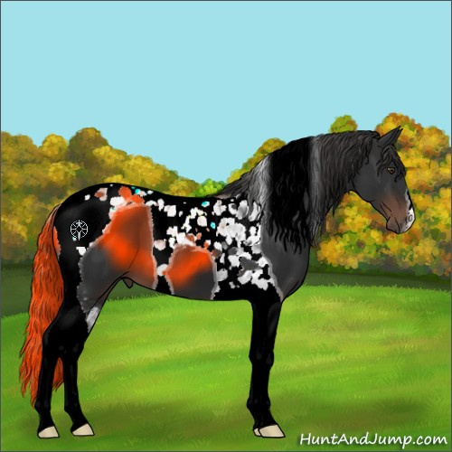 Horse Color:Liver Chestnut Tobiano 