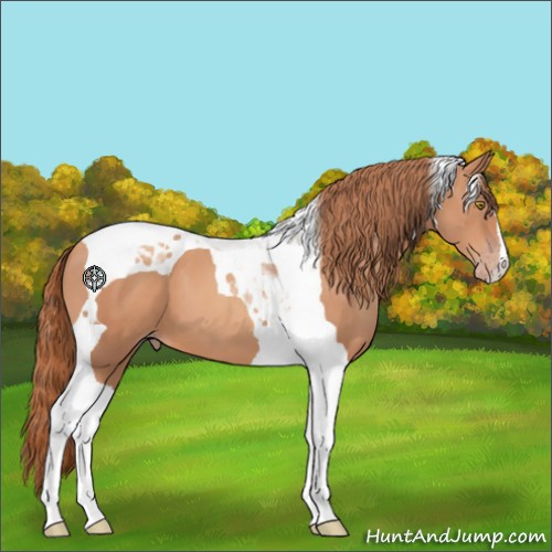 Horse Color:Gold Champagne Tobiano 