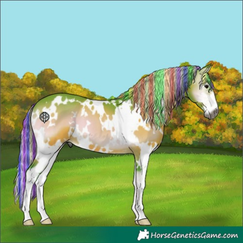 Horse Color:Gray Painted Watercolor White Spotted Silver Brown Onyx Sabino 
