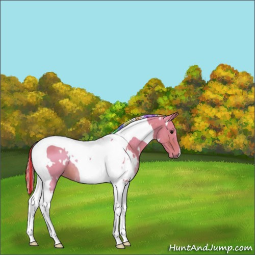 Horse Color:Painted Watercolor White Spotted Silver Brown Tobiano 