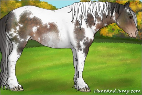 Horse Color:White Spotted Liver Chestnut Tobiano Varnish 