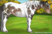 Horse Color:White Spotted Liver Chestnut Tobiano Varnish