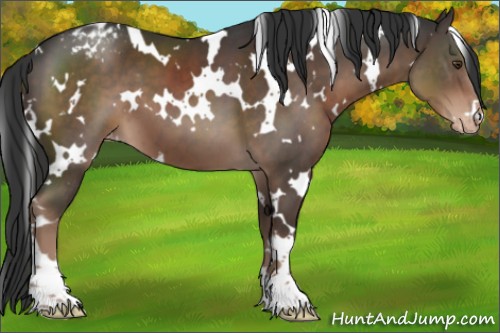 Horse Color:White Spotted Liver Chestnut Varnish 