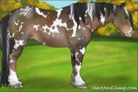 Horse Color:White Spotted Liver Chestnut Varnish