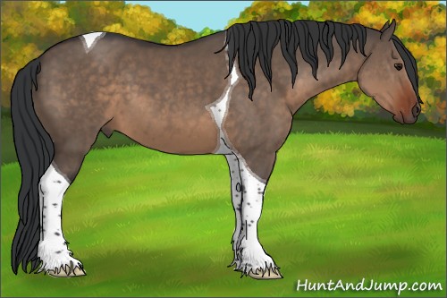 Horse Color:Brown Dun Tobiano 