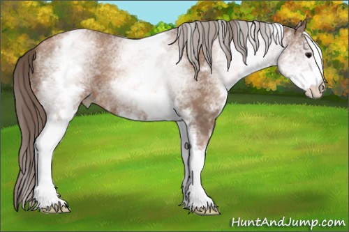 Horse Color:White Spotted Black Pearl 