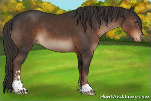 Horse Color:Liver Chestnut Sabino Varnish 